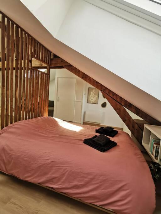 Appartement De Charme A Нансі Екстер'єр фото